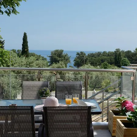 Hotel Alfa Boutique