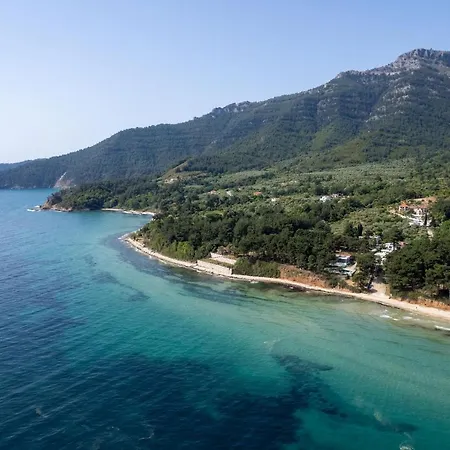 Hotel Alfa Boutique Koinira